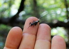 photo thumbnail #12