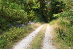 photo thumbnail #13
