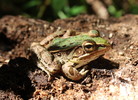 photo thumbnail #5