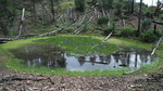 photo thumbnail #6