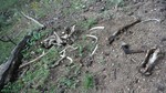 photo thumbnail #8