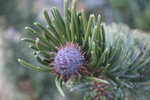 photo thumbnail #9