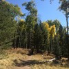 photo thumbnail #5