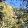 photo thumbnail #10