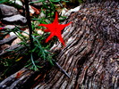 photo thumbnail #12