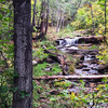 photo thumbnail #2