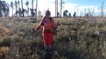 photo thumbnail #4