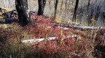 photo thumbnail #6