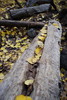 photo thumbnail #12