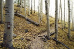 photo thumbnail #13