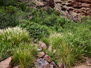 photo thumbnail #14