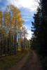 photo thumbnail #12
