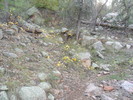 photo thumbnail #4