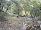 photo thumbnail #12