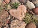 photo thumbnail #6