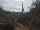 photo thumbnail #7