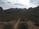 photo thumbnail #8