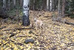 photo thumbnail #3