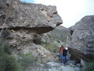 photo thumbnail #11