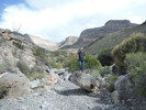 photo thumbnail #13