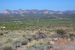 photo thumbnail #14