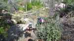 photo thumbnail #1