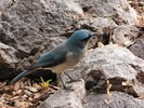 photo thumbnail #11
