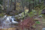 photo thumbnail #9