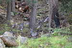 photo thumbnail #15