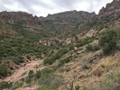 photo thumbnail #6