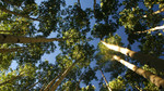 photo thumbnail #13