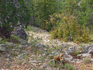 photo thumbnail #6