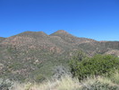 photo thumbnail #11