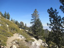 photo thumbnail #7