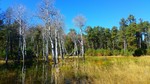 photo thumbnail #2