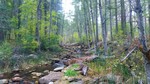 photo thumbnail #9
