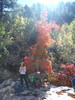 photo thumbnail #11