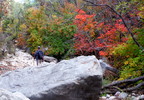 photo thumbnail #14