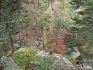photo thumbnail #13