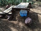 photo thumbnail #5