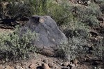 photo thumbnail #5