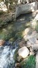 photo thumbnail #15