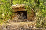 photo thumbnail #4