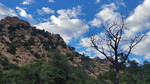 photo thumbnail #2