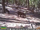 photo thumbnail #3