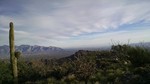 photo thumbnail #4