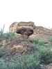 photo thumbnail #1