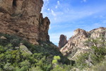 photo thumbnail #7