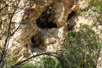 photo thumbnail #9