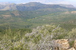photo thumbnail #15